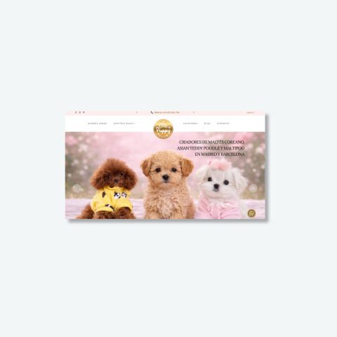 Chic Puppy Club Website